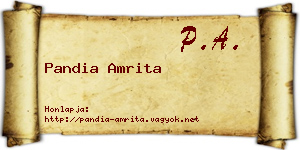 Pandia Amrita névjegykártya